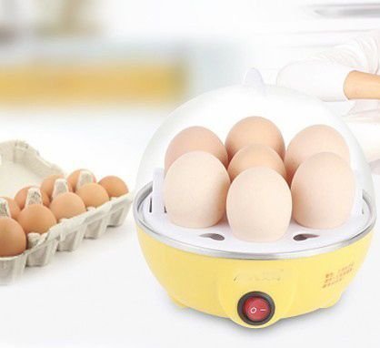 Multi-function Electric Egg Cooker